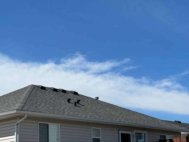 Best Roof Maintenance and Cleaning  in Westhaven Moonstone, CA